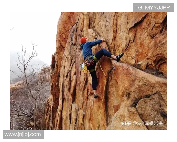 杭州攀岩队耐力表现分析及训练效果评估研究报告