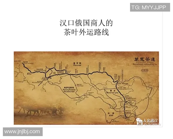 北京足球队战术解析与未来发展方向的深度探讨