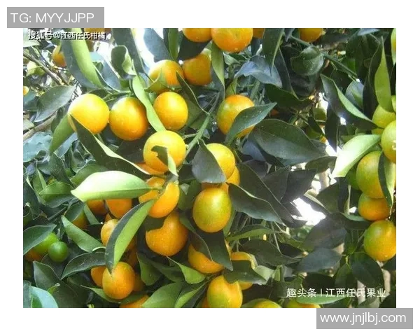 黄蜂的生态习性与对生态环境的影响及防治措施探讨