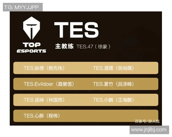 TES战队灵活性分析与战术适应性探讨在王者荣耀中的重要性