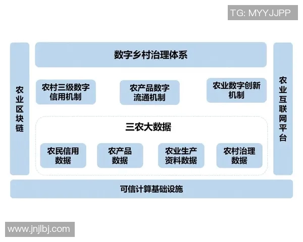 南京足球队联赛表现分析意识提升与战术执行的深度探讨